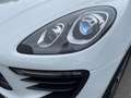 Porsche Macan 2.0 252PK Facelift /Panoramadak/Luchtvering/Led-Xe Blanc - thumbnail 28