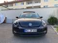 Volkswagen Beetle Sport Schwarz - thumbnail 3