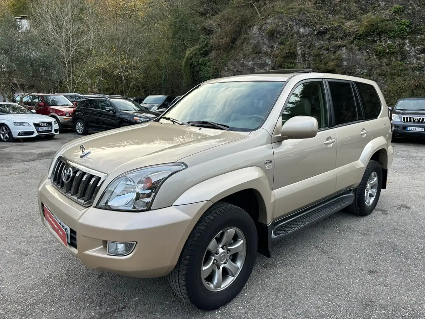 Toyota Land Cruiser D-4D VXL Beige - 2