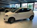 Lancia Ypsilon 1.2 69 CV 5 porte GPL Ecochic Gold Blanco - thumbnail 7