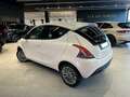 Lancia Ypsilon 1.2 69 CV 5 porte GPL Ecochic Gold Blanco - thumbnail 9