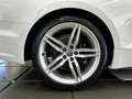 Audi A5 A5 Cabrio 40 2.0 tdi Edition quattro 190cv stronic Wit - thumbnail 7