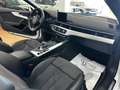 Audi A5 A5 Cabrio 40 2.0 tdi Edition quattro 190cv stronic Bianco - thumbnail 10