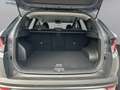 Hyundai TUCSON Jubile 1,6 T-GDi HEV ALLRAD & AUTOMATIK Grau - thumbnail 15