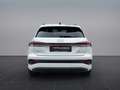 Audi 45 e-tron 210 kW Weiß - thumbnail 6