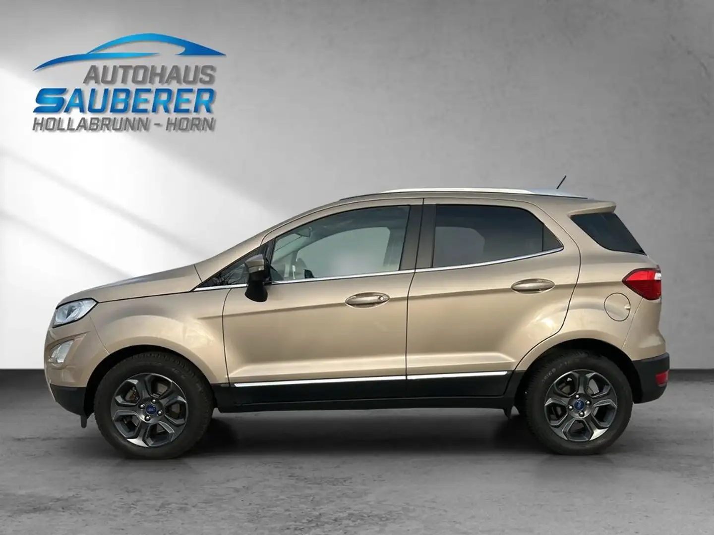Ford EcoSport * Titanium* I AUTOMATIK I Beige - 2