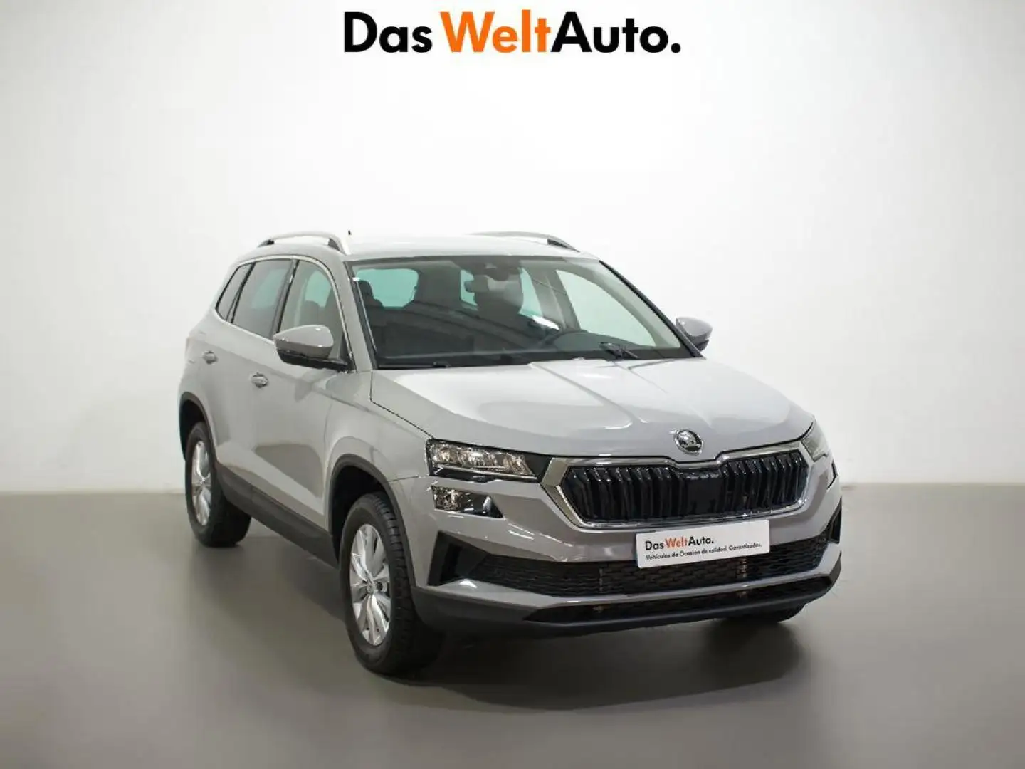 Skoda Karoq 2.0TDI Adblue Ambition 85kW Gris - 1