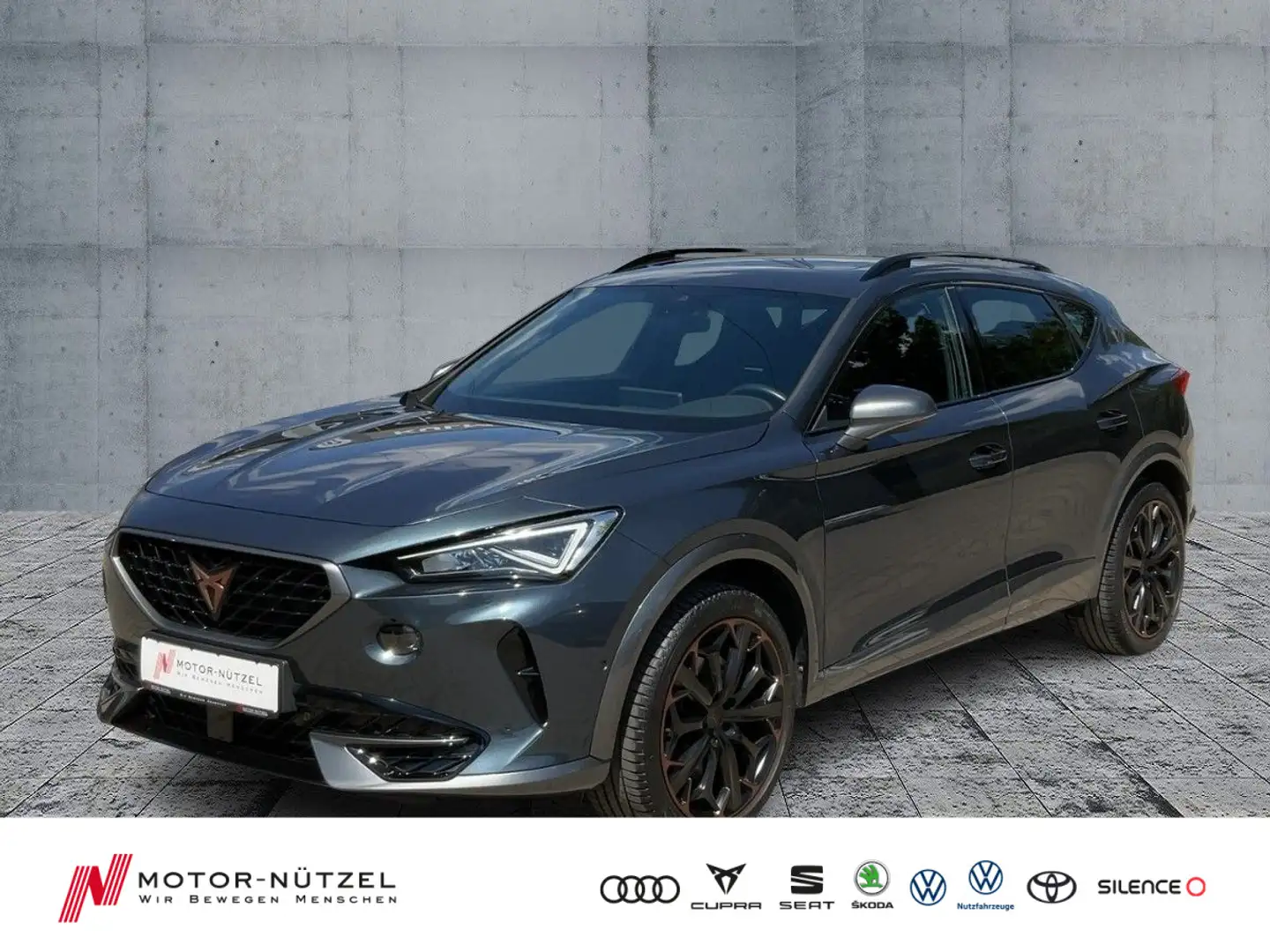 CUPRA Formentor VZ 2.0 TSI DSG 4DRIVE LED+NAVI+PANO Grau - 1