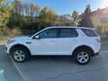 Land Rover Discovery Sport Discovery Sport 2.0 td4 SE awd 180cv Blanc - thumbnail 5
