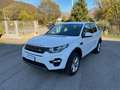 Land Rover Discovery Sport Discovery Sport 2.0 td4 SE awd 180cv Blanc - thumbnail 8