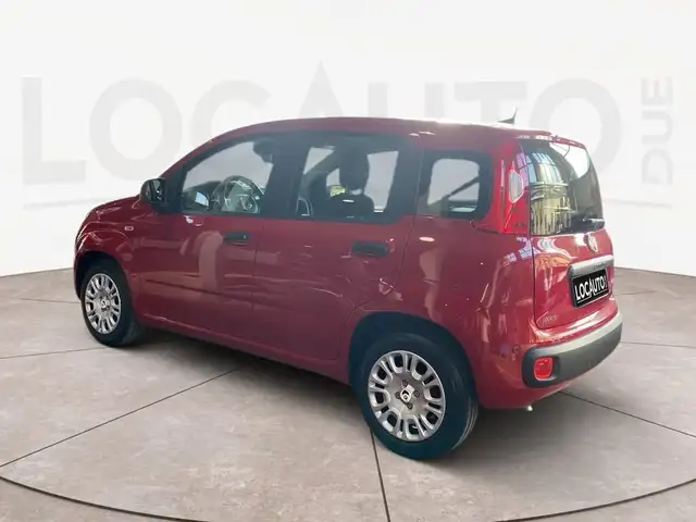 Fiat Panda view 5