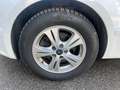 Ford Galaxy Business Plus 2,0 TDCi Aut. Weiß - thumbnail 16