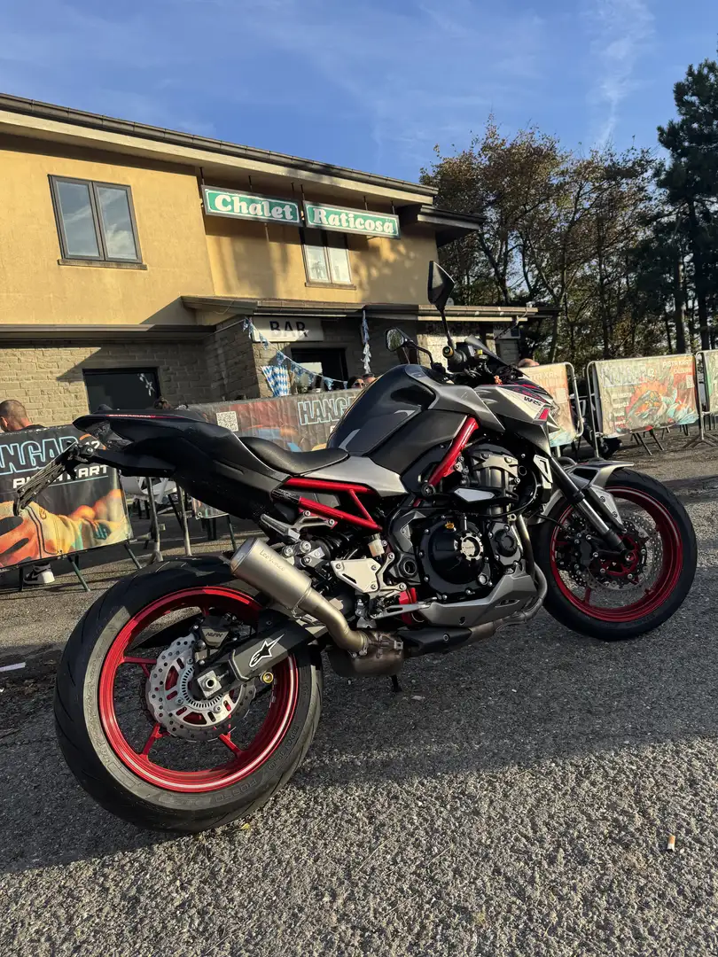 Kawasaki Z 900 performance A2 Grigio - 2