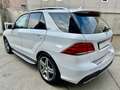 Mercedes-Benz GLE 250 4matic Premium AMG *TETTO *LED *NAVI Blanc - thumbnail 5