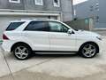 Mercedes-Benz GLE 250 4matic Premium AMG *TETTO *LED *NAVI Blanc - thumbnail 8