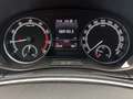 Skoda Fabia Combi 1.0 TSI Best of DSG Navi LED Sitzhzg Weiß - thumbnail 13