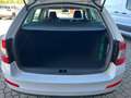 Skoda Octavia Wagon 1.6 TDI CR 110cv Executive DSG Weiß - thumbnail 7