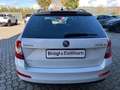 Skoda Octavia Wagon 1.6 TDI CR 110cv Executive DSG Bianco - thumbnail 5