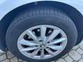 Skoda Octavia Wagon 1.6 TDI CR 110cv Executive DSG Weiß - thumbnail 19