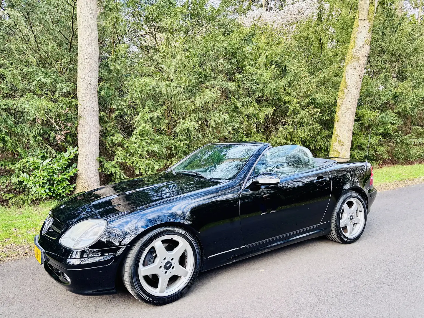 Mercedes-Benz SLK 320 Final Edition - 2