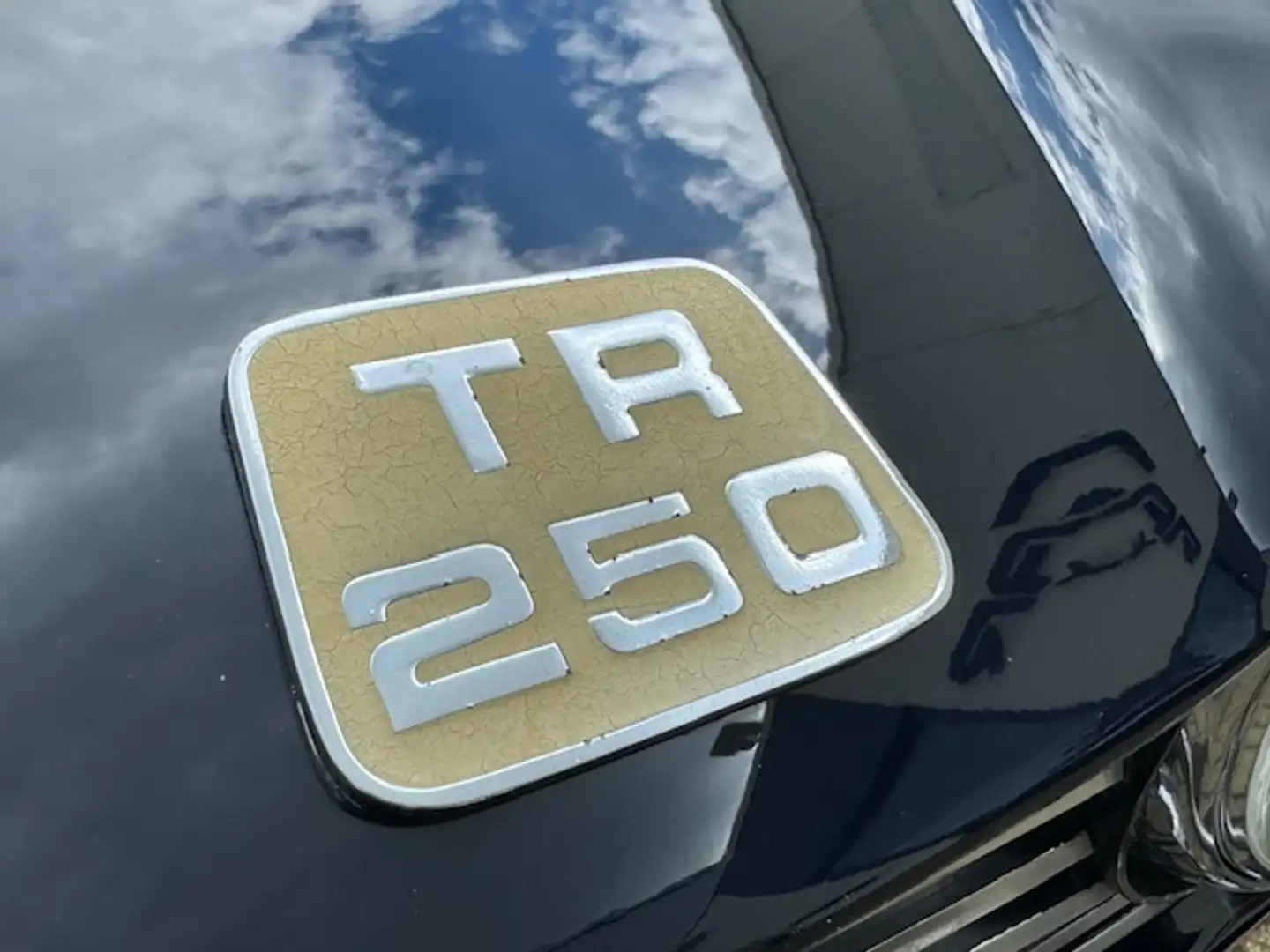 Triumph TR 250 Modrá - 2