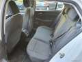Volkswagen Golf 1.0 TSI EVO Life Bianco - thumbnail 12