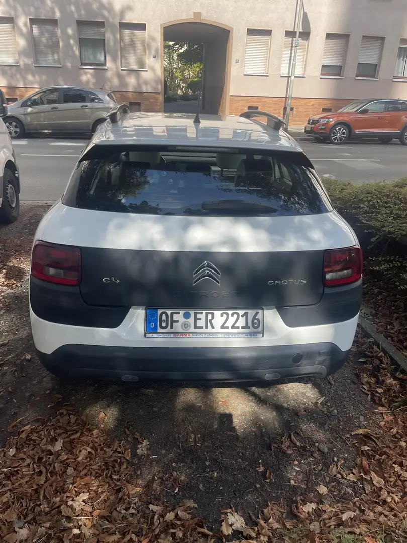 Citroen C4 Cactus 1.6 BlueHDi S&S Live 100 - 2