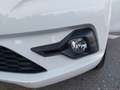Dacia Sandero Expression TCe 90 Weiß - thumbnail 18