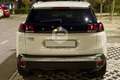 Peugeot 3008 3008 PureTech Turbo 130 S&S Allure Bianco - thumbnail 6