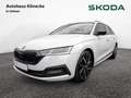 Skoda Octavia Combi 2.0 TDI First Edition DSG AHK L Weiß - thumbnail 1