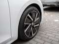 Skoda Octavia Combi 2.0 TDI First Edition DSG AHK L Weiß - thumbnail 5