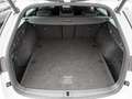 Skoda Octavia Combi 2.0 TDI First Edition DSG AHK L Weiß - thumbnail 15