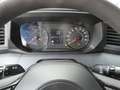 Nissan Interstar KAWA 35 L3H2 N-Connecta*170*270Grad*AHK* Silber - thumbnail 13