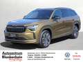 Skoda Kodiaq 2.0 TDI 4x4 Sportline AHK*Standh*Matrix*20" Or - thumbnail 1