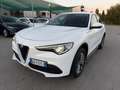 Alfa Romeo Stelvio Stelvio 2.2 Turbodiesel 190 CV AT8 Q4 Executive Weiß - thumbnail 1