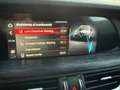 Alfa Romeo Stelvio Stelvio 2.2 Turbodiesel 190 CV AT8 Q4 Executive Weiß - thumbnail 21