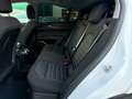 Alfa Romeo Stelvio Stelvio 2.2 Turbodiesel 190 CV AT8 Q4 Executive Weiß - thumbnail 12