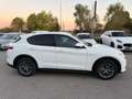 Alfa Romeo Stelvio Stelvio 2.2 Turbodiesel 190 CV AT8 Q4 Executive Weiß - thumbnail 5