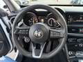 Alfa Romeo Stelvio Stelvio 2.2 Turbodiesel 190 CV AT8 Q4 Executive Weiß - thumbnail 9