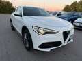 Alfa Romeo Stelvio Stelvio 2.2 Turbodiesel 190 CV AT8 Q4 Executive Weiß - thumbnail 6