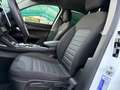 Alfa Romeo Stelvio Stelvio 2.2 Turbodiesel 190 CV AT8 Q4 Executive Weiß - thumbnail 11
