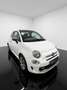 Fiat 500 FireFly Hybrid 70 Sport Weiß - thumbnail 1