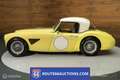 Austin-Healey 3000 MK1 Race Car |Route 66 Auction Geel - thumbnail 3