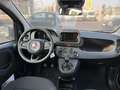 Fiat Panda MY24 1.0 Klima PDC Citypaket Gelb - thumbnail 7