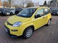 Fiat Panda MY24 1.0 Klima PDC Citypaket Gelb - thumbnail 1