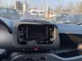 Fiat Panda MY24 1.0 Klima PDC Citypaket Gelb - thumbnail 12