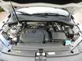 Volkswagen Tiguan Life, 1.Hand, unfallfrei, s.g.Zustand, Weiß - thumbnail 17