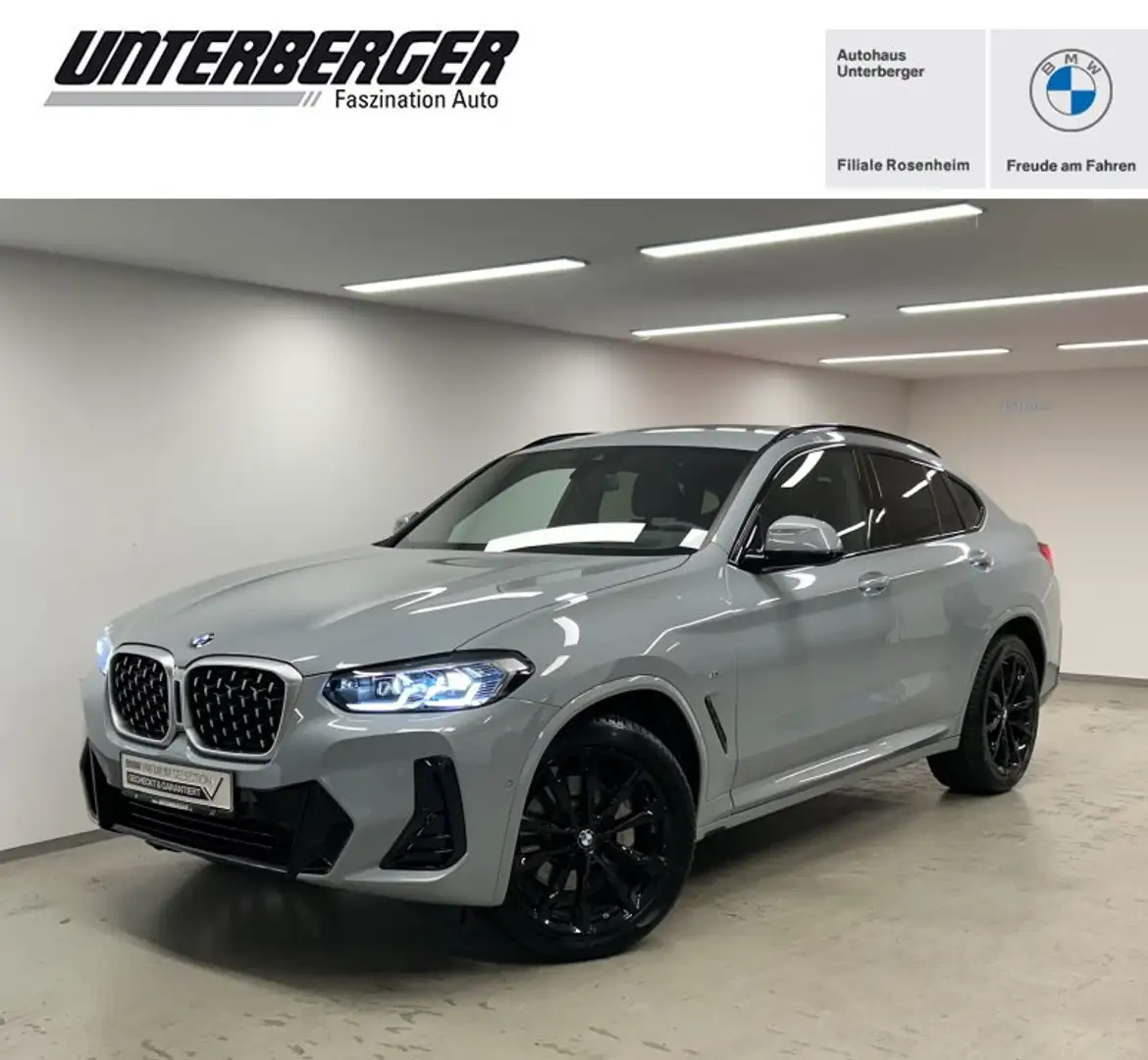 BMW X4 xDrive30d M Sportpaket Drivingass. PA. Plus Head-U Grau - 1