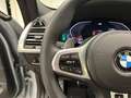 BMW X4 xDrive30d M Sportpaket Drivingass. PA. Plus Head-U Grau - thumbnail 24