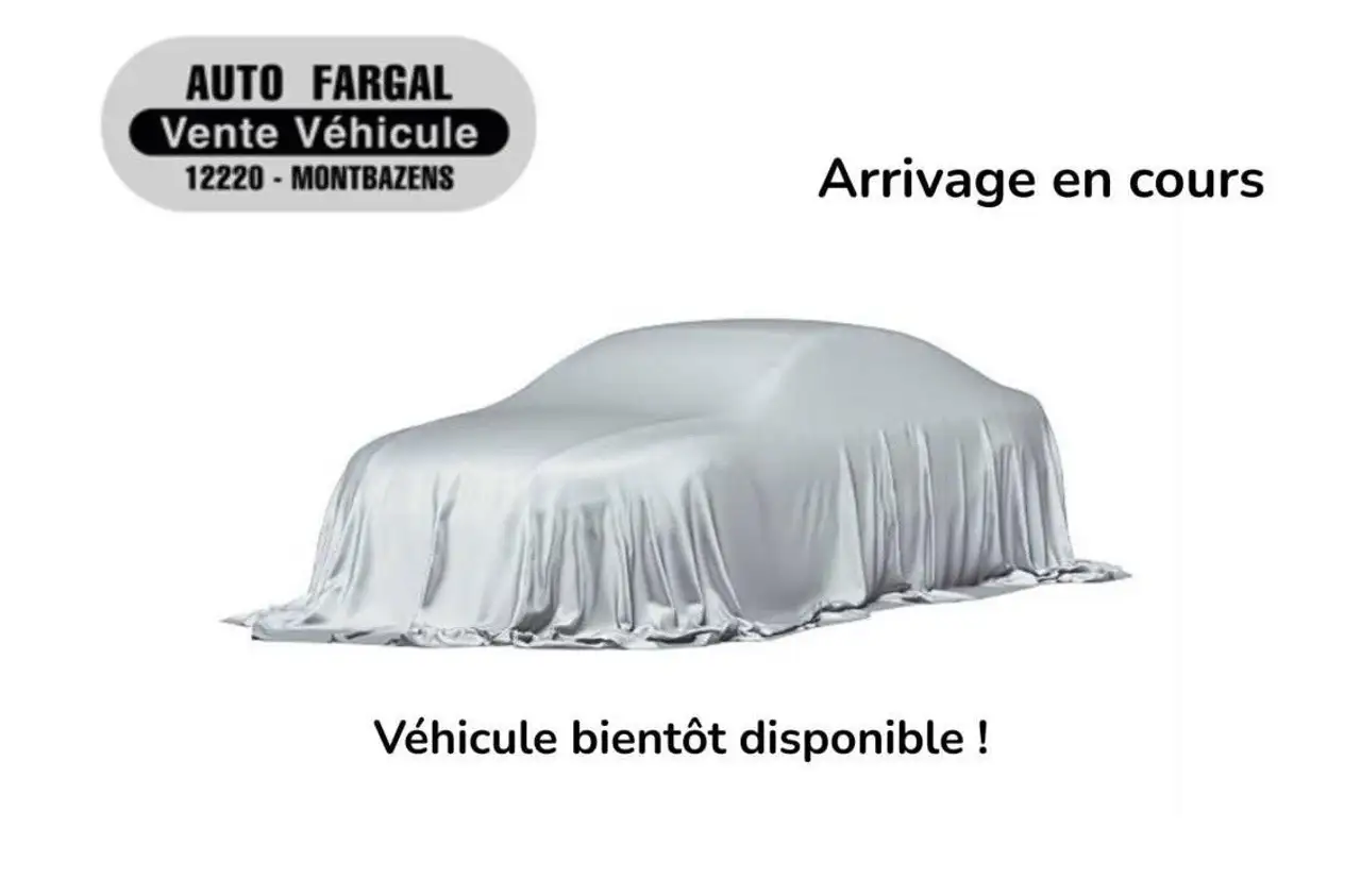 Dacia Spring Achat Integral Business 2020